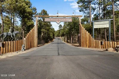 Thumbnail 31