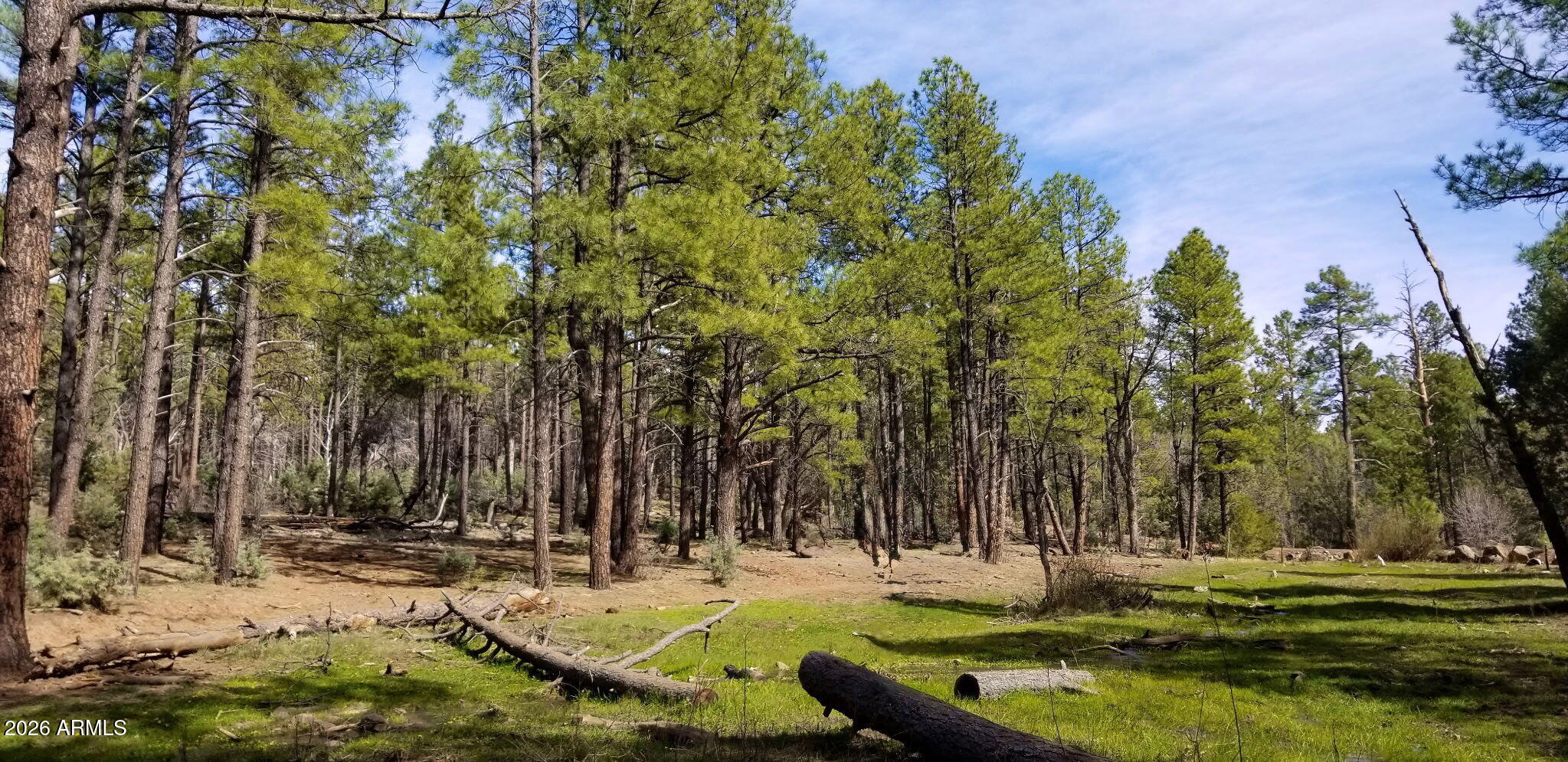 2259 E T BEAR Trail '-', Lakeside, AZ 85929 — Photo 1 of 7