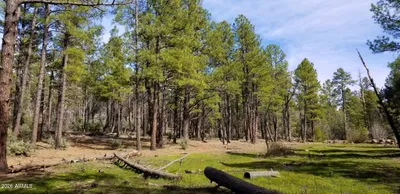 2259 E T BEAR Trail '-', Lakeside, AZ 85929
