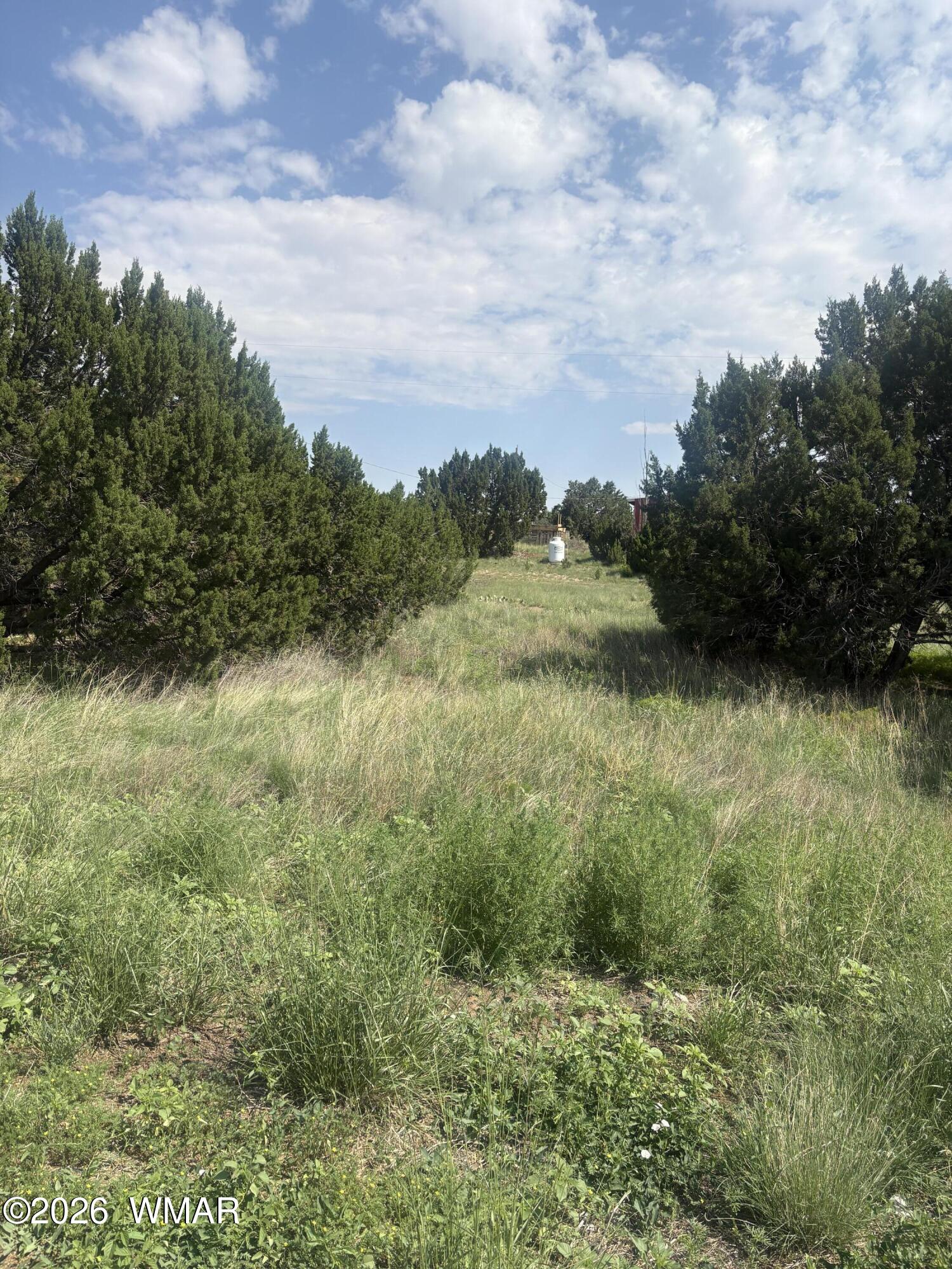 31 Commercial Drive, CR # 5059, Concho, AZ 85924 — Photo 1 of 6