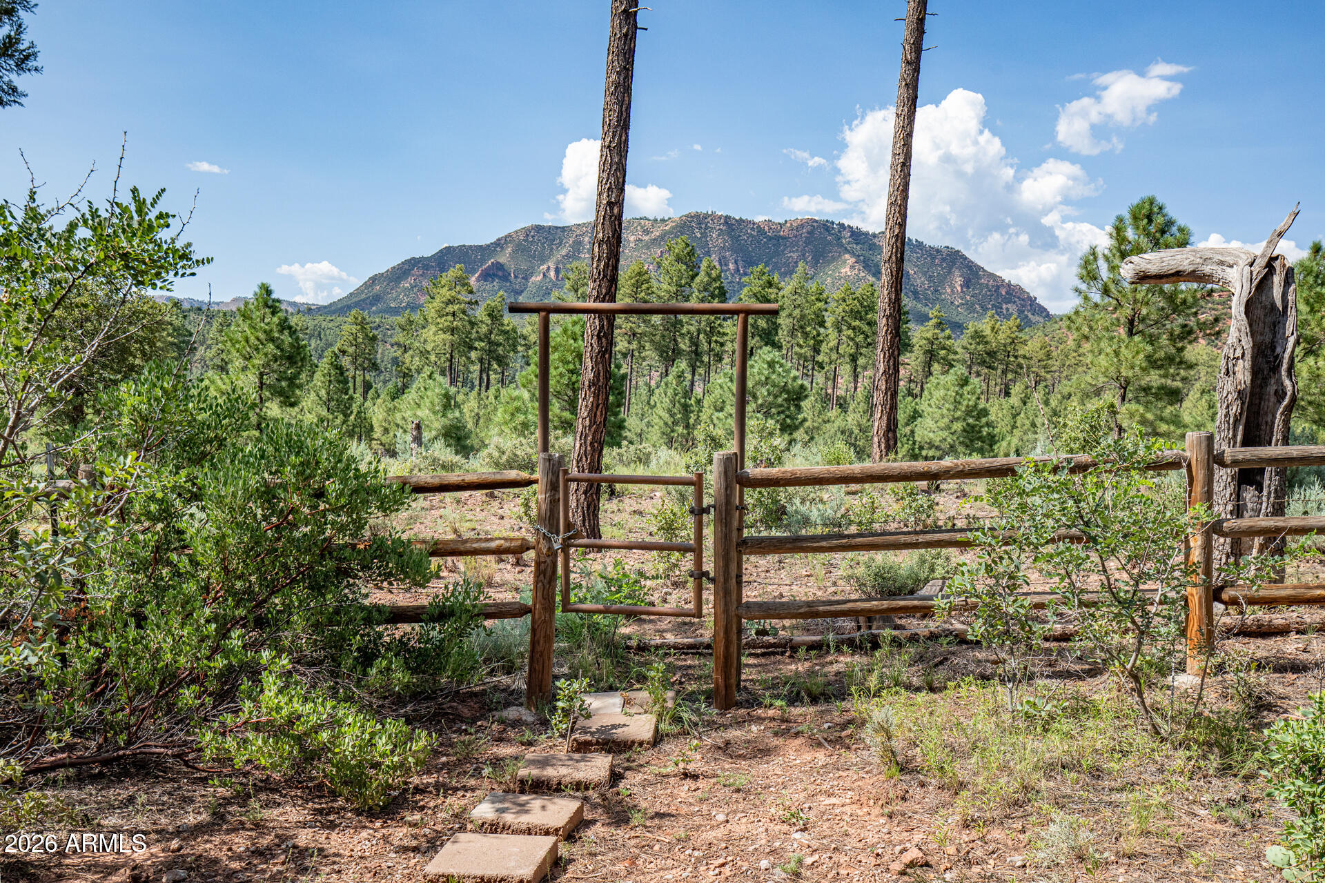 243 N WILD OAK Drive, Payson, AZ 85541 — Photo 1 of 55