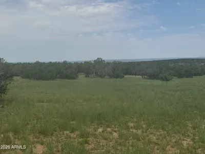Lot 215 Woodland Valley Ranch 215, St Johns, AZ 85936