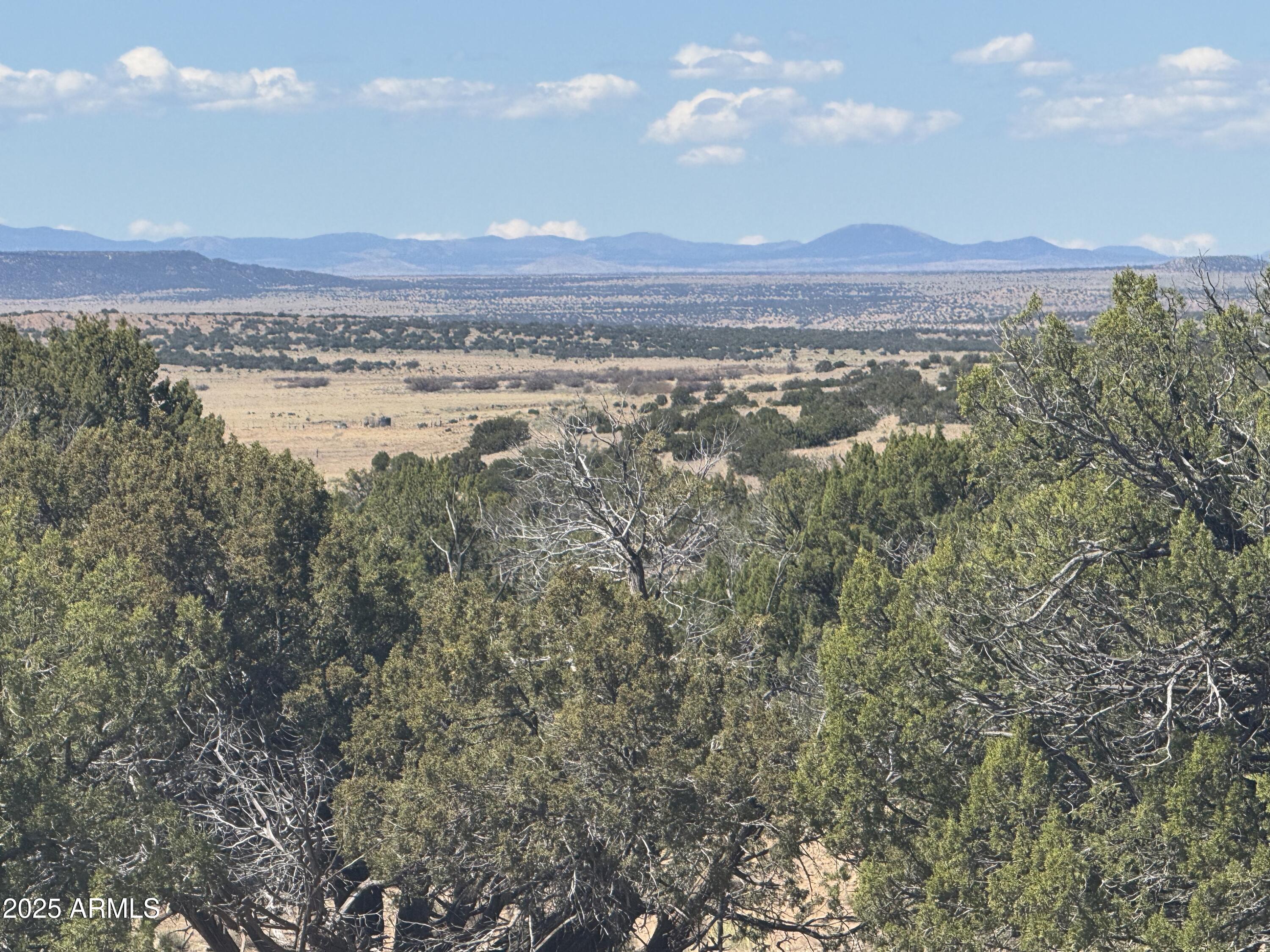 Lot 752 Woodland Valley Ranch 752, St Johns, AZ 85936 — Photo 1 of 12