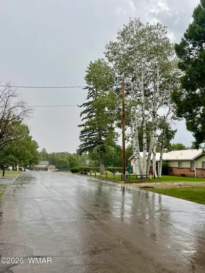 Thumbnail 55