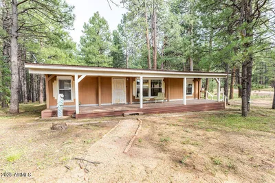 659 MULE SPRINGS Trail, Forest Lakes, AZ 85931