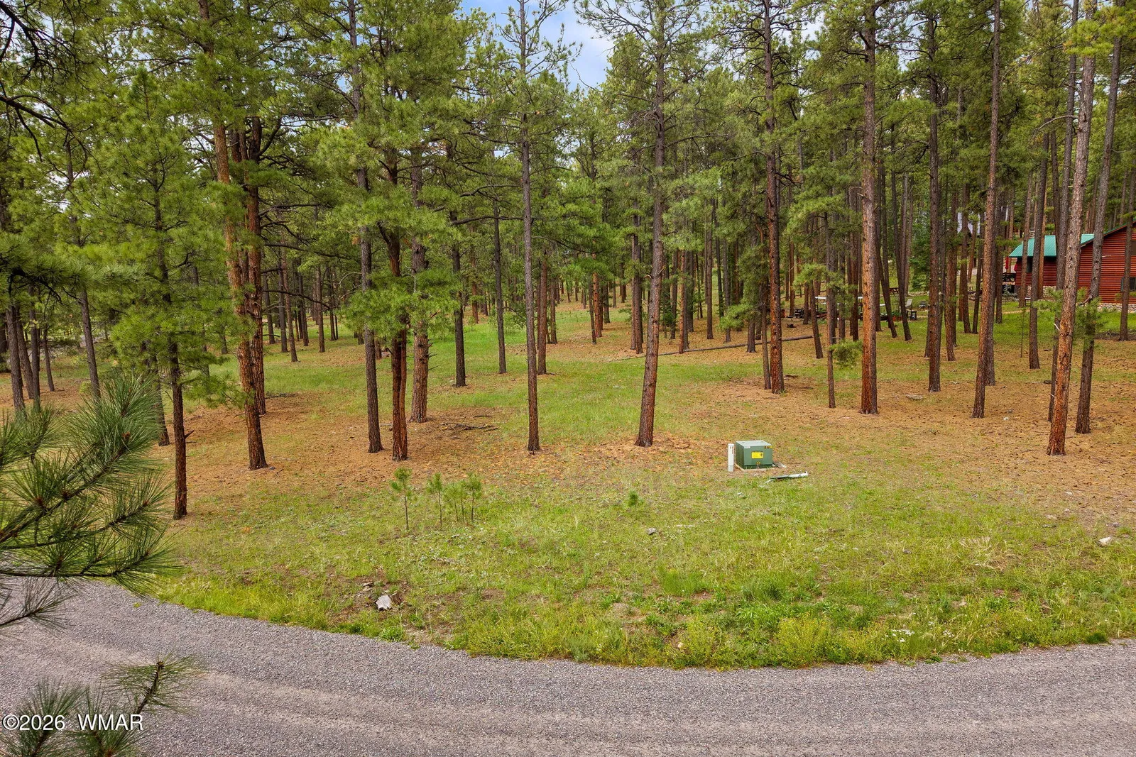 12 N1067, Greer, AZ 85927 — Photo 1 of 20