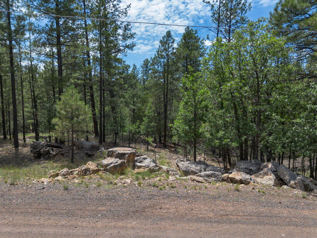 642 Jacks Canyon Drive, Happy Jack, AZ 86024 — Photo 1 of 25