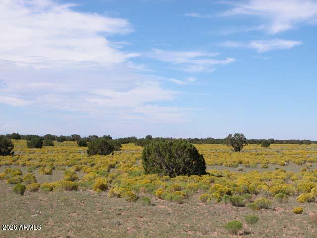 206-10-409 Bar Nothing Ranch Road -, Chambers, AZ 86502 — Photo 1 of 5