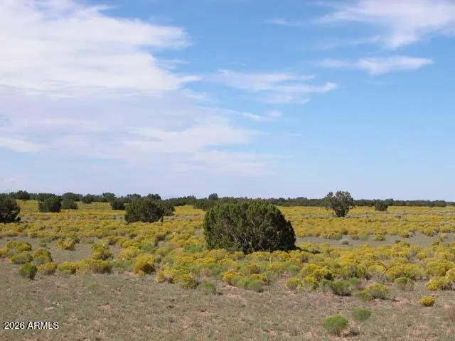 206-10-409 Bar Nothing Ranch Road -, Chambers, AZ 86502 — Photo 1 of 5
