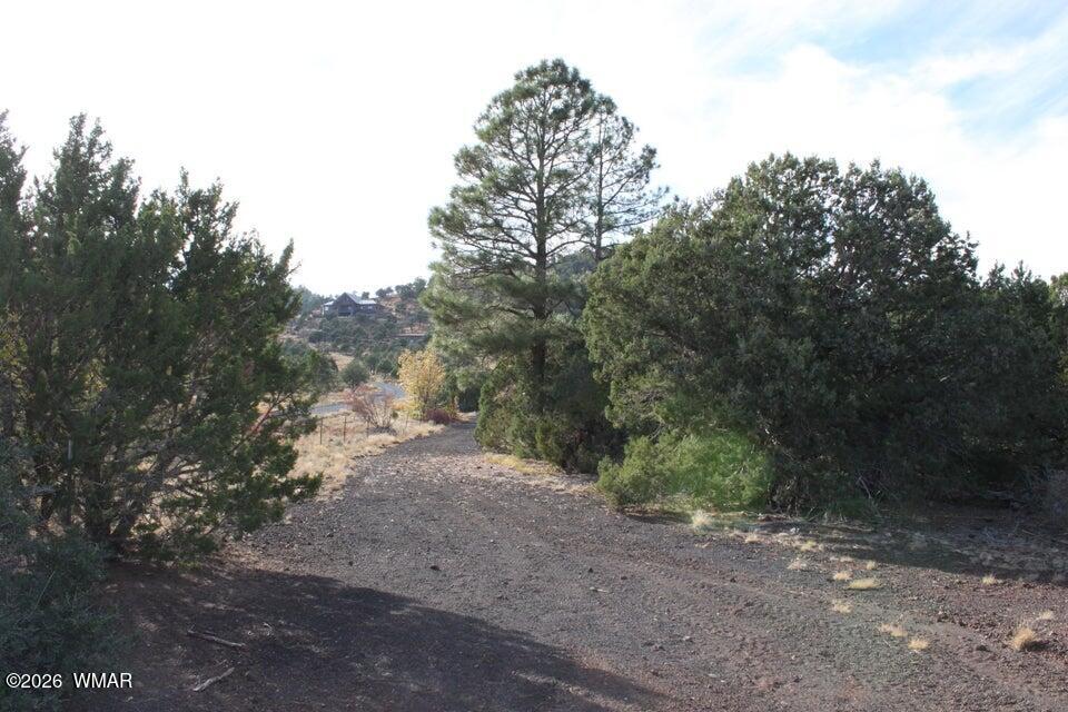 TBD County Road 3140, Vernon-McNary Rd, Vernon, AZ 85940 — Photo 1 of 16