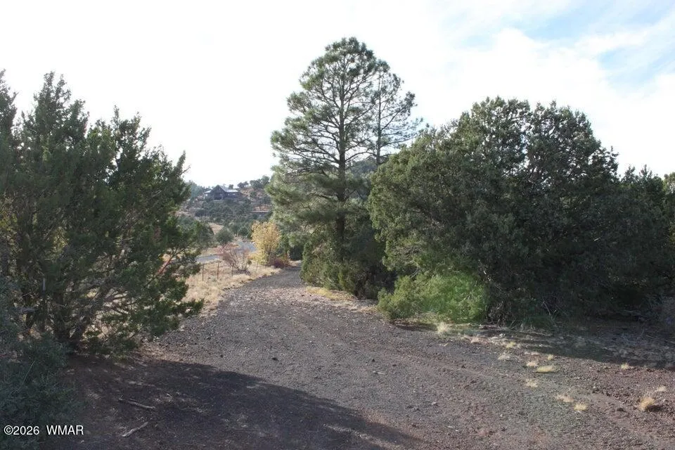 TBD County Road 3140, Vernon-McNary Rd, Vernon, AZ 85940 — Photo 1 of 16