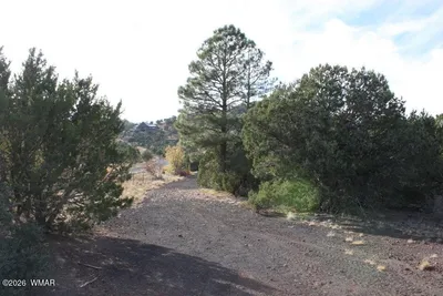 TBD County Road 3140, Vernon-McNary Rd, Vernon, AZ 85940