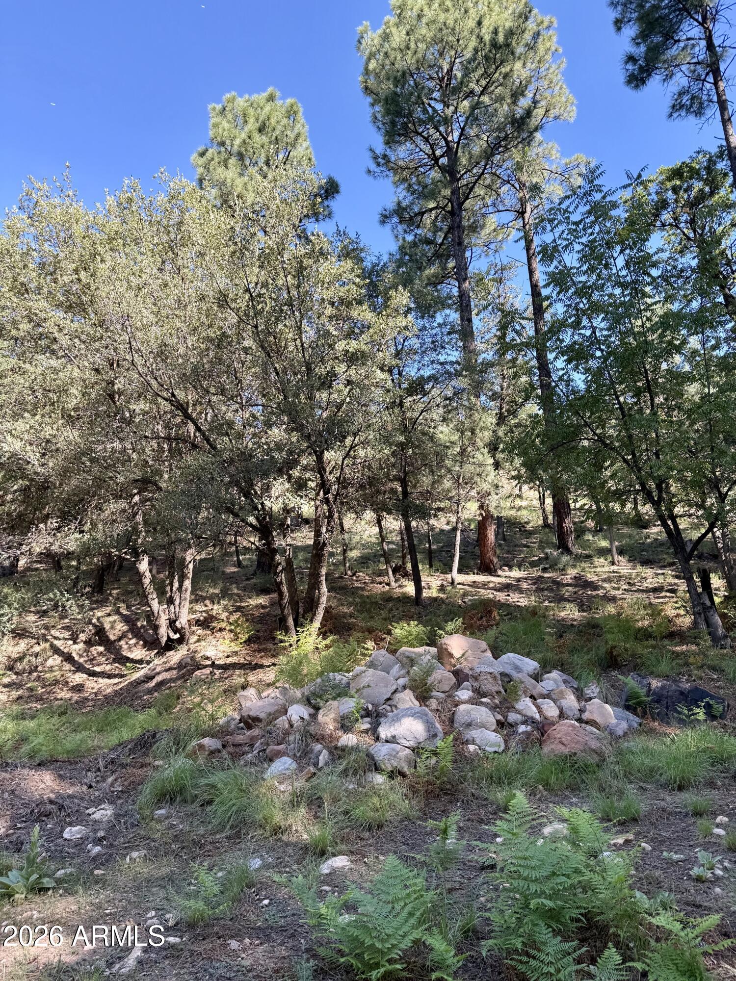 165 W Burnt Point Trail, Payson, AZ 85541 — Photo 1 of 28