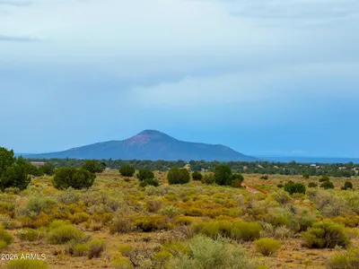 2028 S AVONDALE Road 142, Williams, AZ 86046