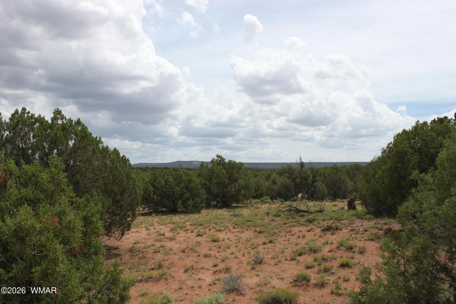 TBD N8595, Concho, AZ 85924 — Photo 1 of 14