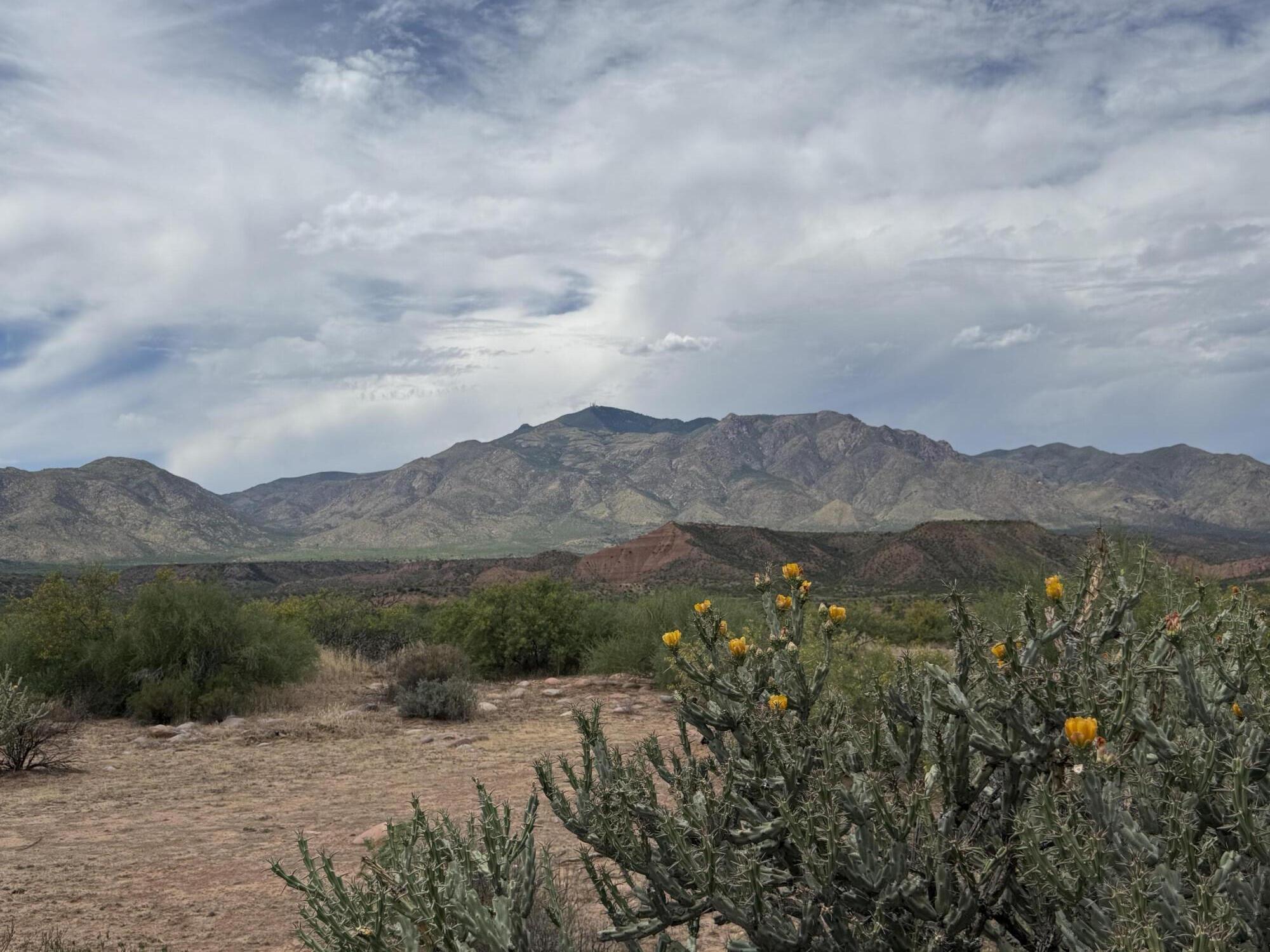 03G Sierra Ancha Way, Tonto Basin, AZ 85553 — Photo 1 of 7