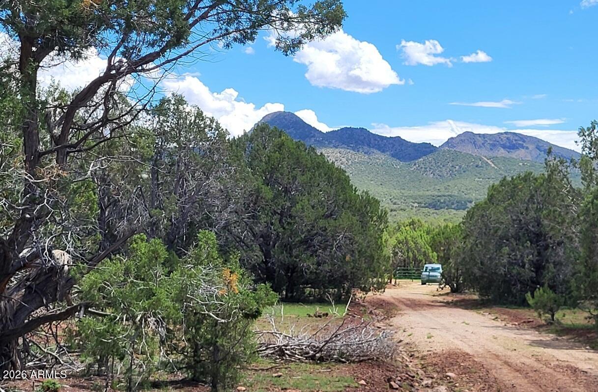 13664 Round Mountain Expressway, Williams, AZ 86046 — Photo 1 of 46
