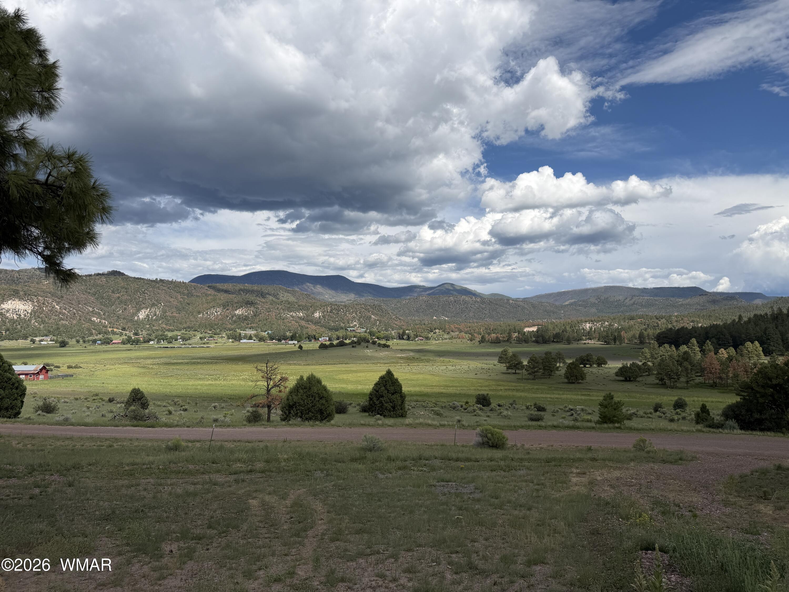 Lot 52 County Road 2225, Nutrioso, AZ 85932 — Photo 1 of 11