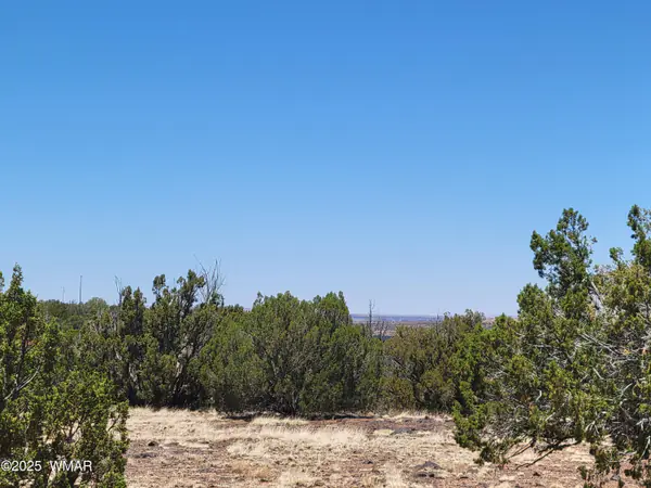 8442 Lake Ridge Road, Show Low, AZ 85901
