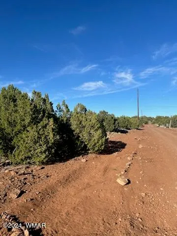 8766 Clark Road -, Show Low, AZ 85901