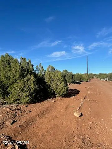 8766 Clark Road, Show Low, AZ 85901