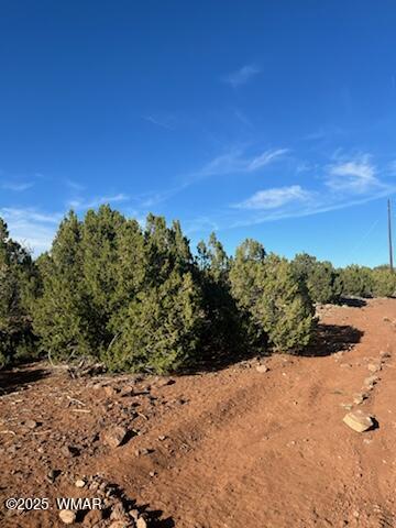 8754 CLARK Road -, Show Low, AZ 85901 — Photo 1 of 7