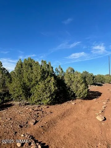 8754 CLARK Road -, Show Low, AZ 85901