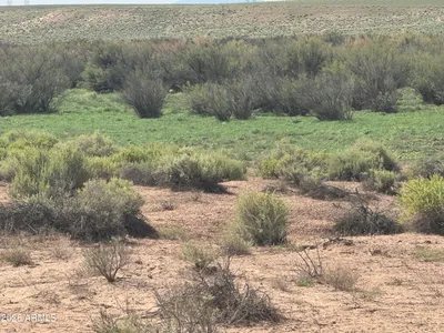 Lot 445 Carrizo Ranch 445, St Johns, AZ 85936