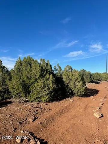 8776 Clark Road, Show Low, AZ 85901