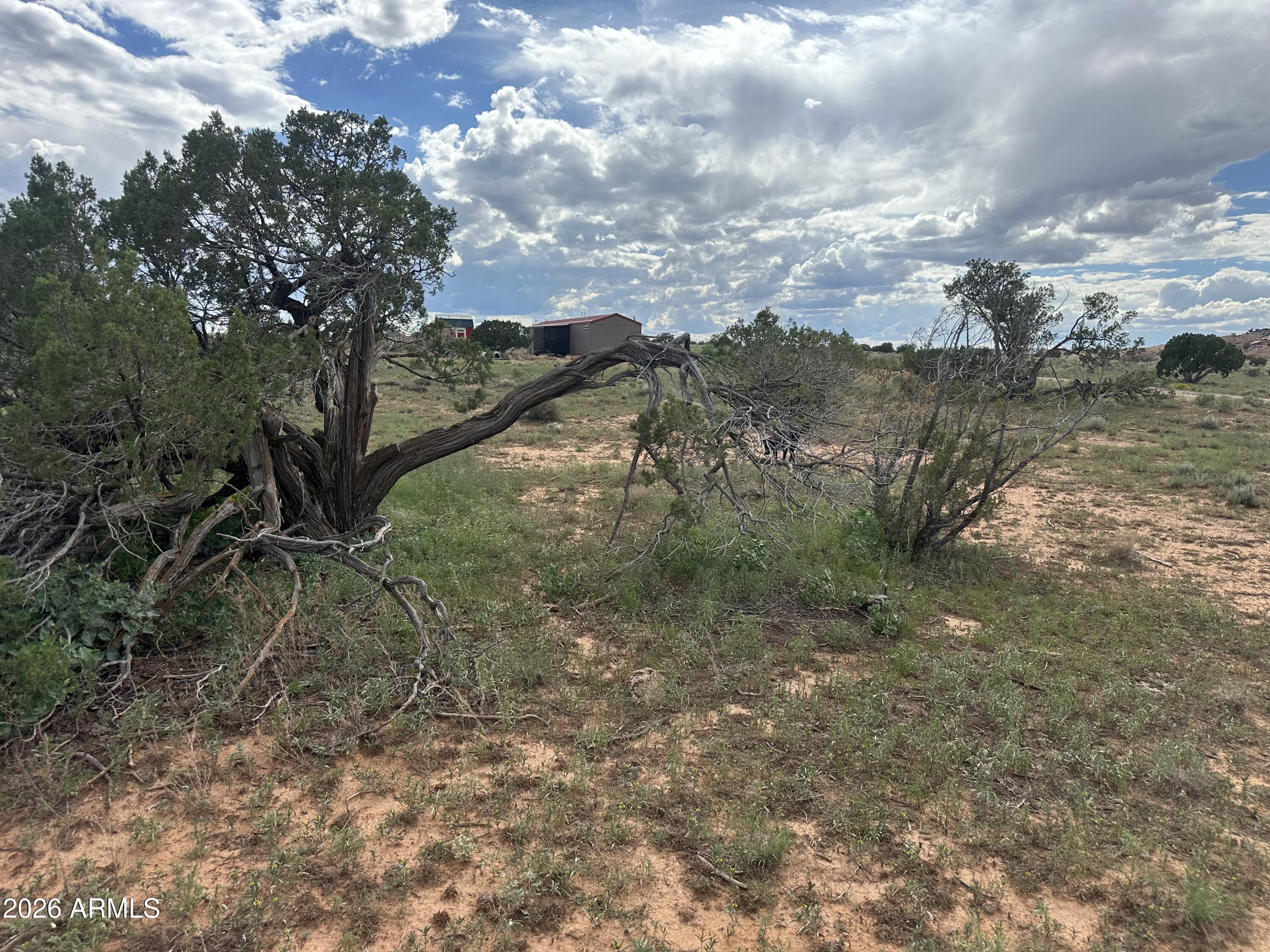 1771 W RIDGEVIEW RANCH Drive, Snowflake, AZ 85937 — Photo 1 of 37