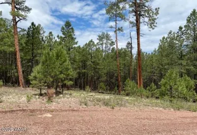 15 COUNTY ROAD 2083 10, Alpine, AZ 85920