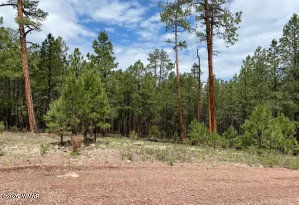 15 County Road 2083, LOT 10, Alpine, AZ 85920