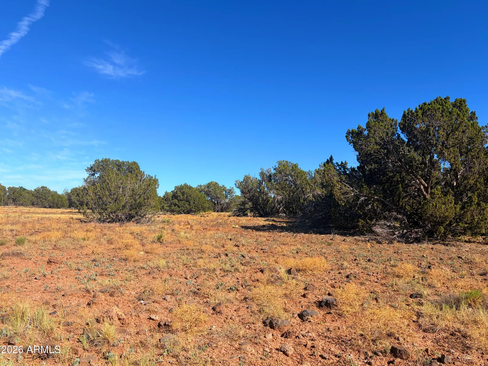 8571 ELKHORN Drive 380, Show Low, AZ 85901 — Photo 1 of 10