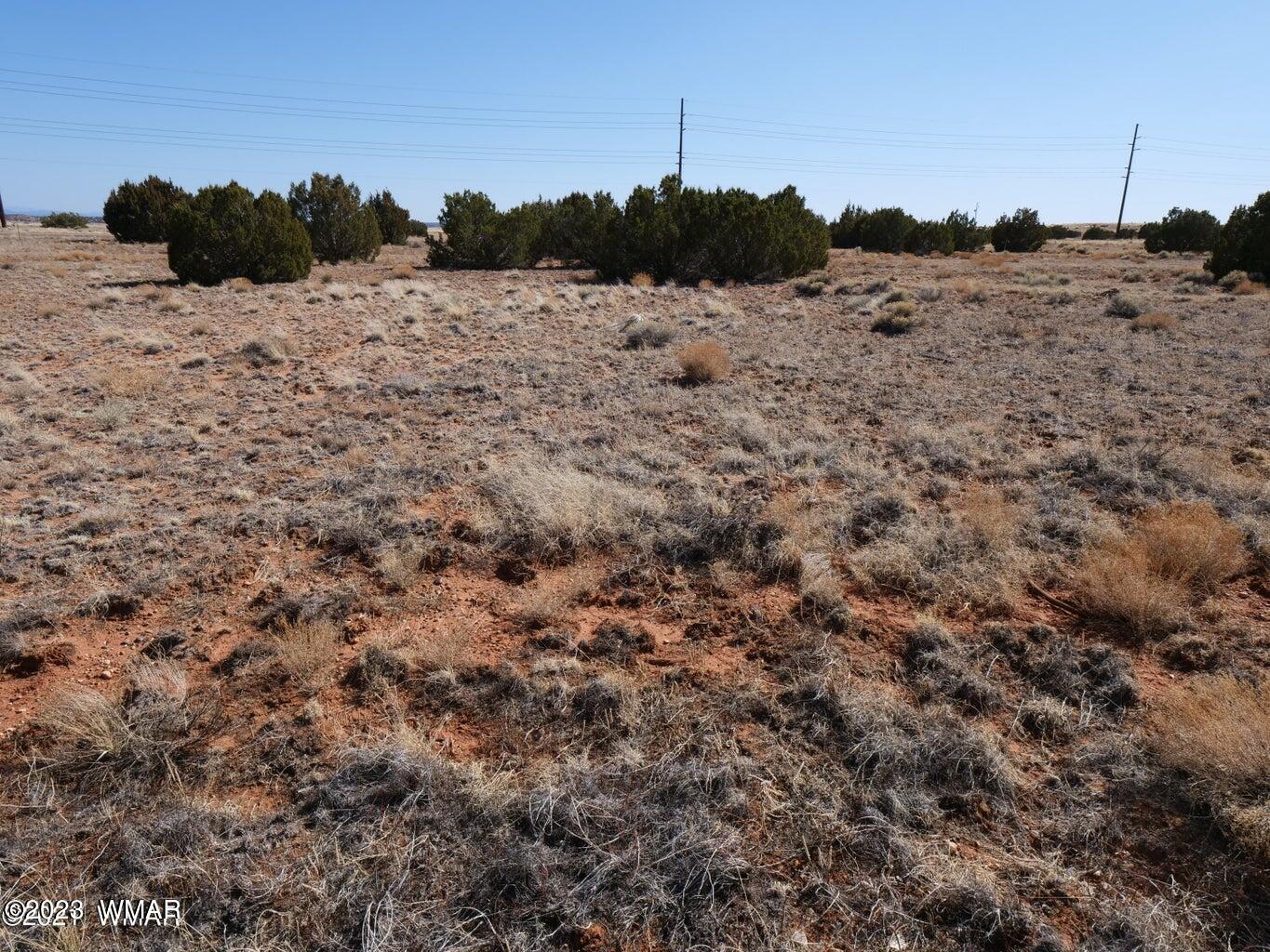 TBD Richard Dr, Snowflake, AZ 85937 — Photo 1 of 1