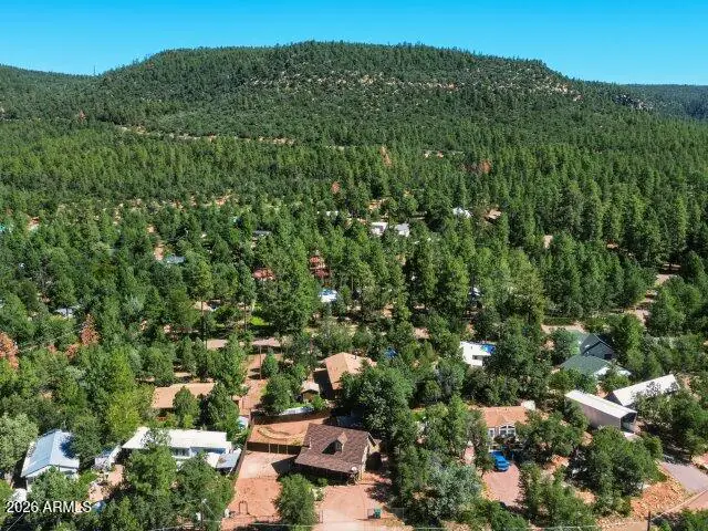 8076 W LUFKIN Drive, Pine, AZ 85544, photo 39 of 46