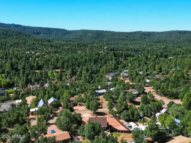 8076 W LUFKIN Drive, Pine, AZ 85544, photo 41 of 46