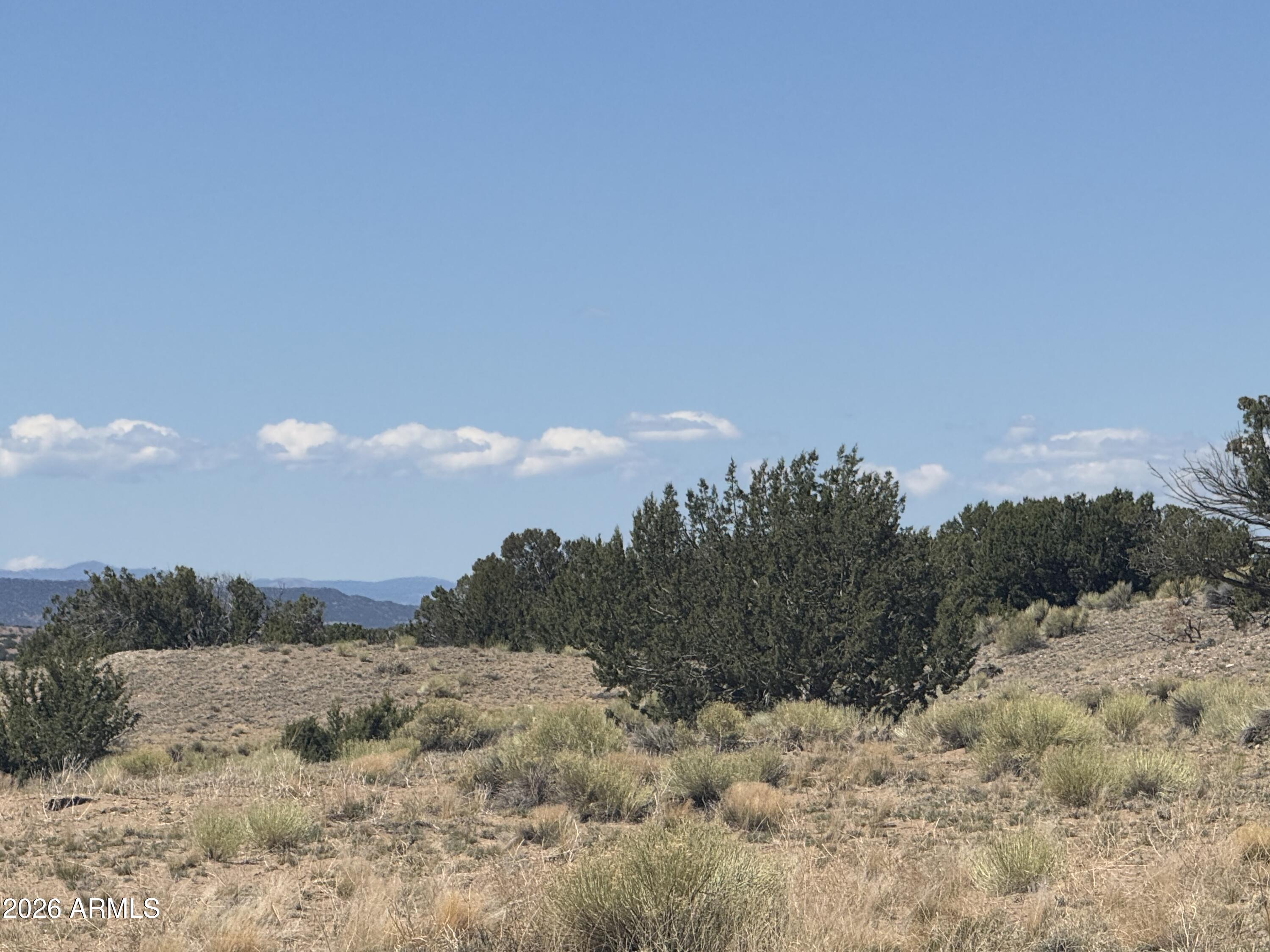 Lot 753 Woodland Valley Ranch 753, St Johns, AZ 85936 — Photo 1 of 23