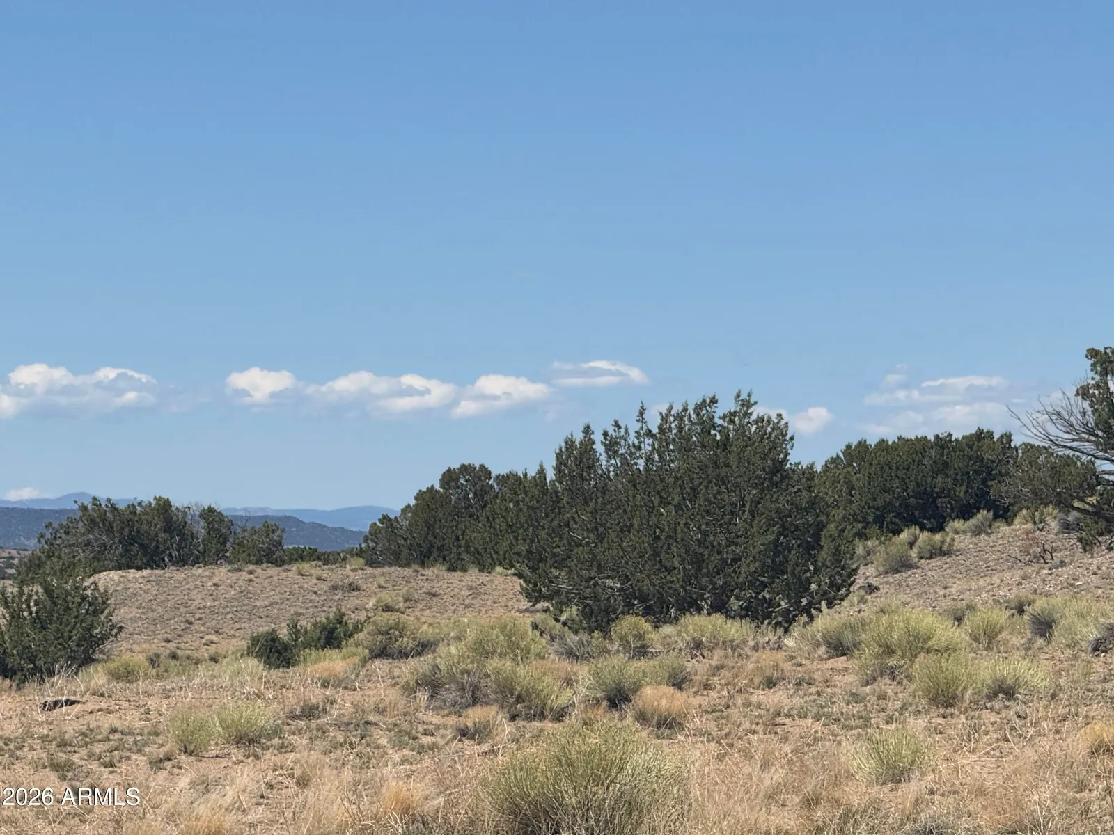 Lot 753 Woodland Valley Ranch 753, St Johns, AZ 85936 — Photo 1 of 23