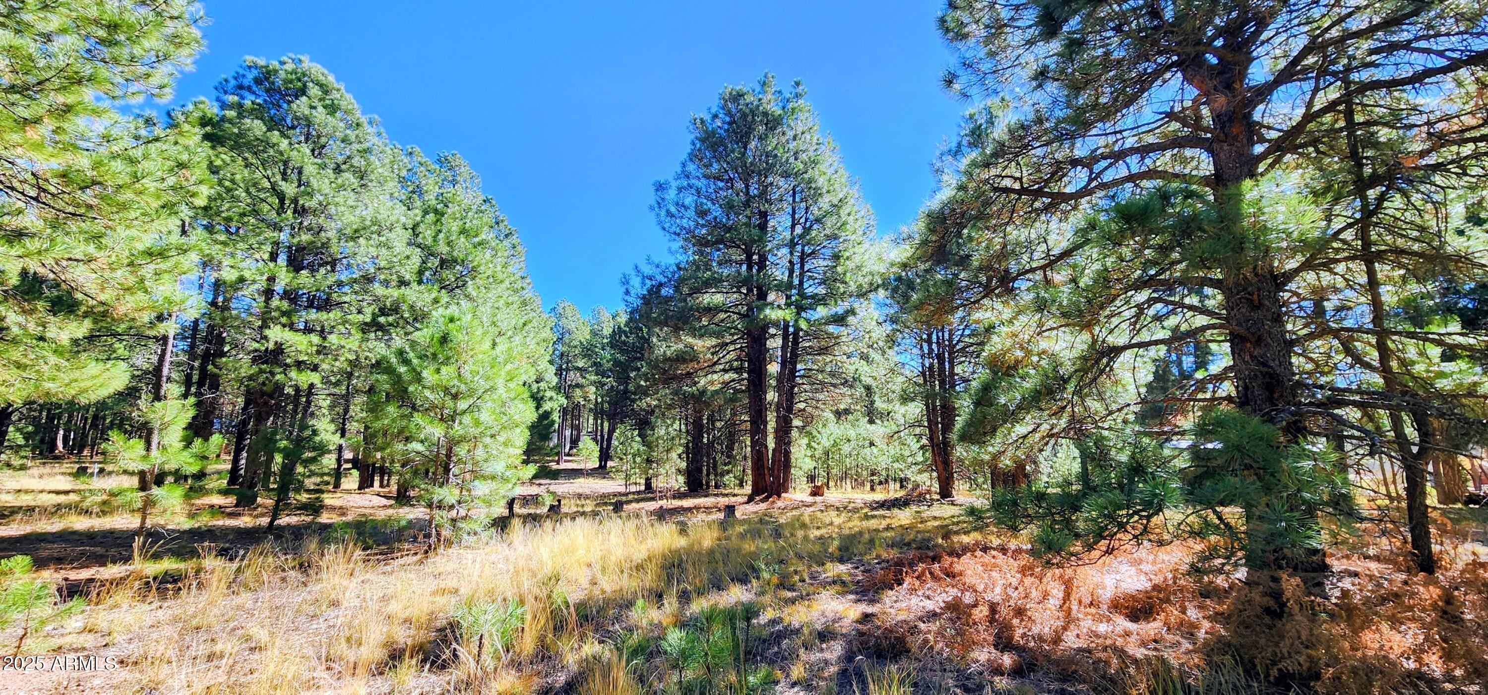 1958 FERRET Circle 260, Forest Lakes, AZ 85931 — Photo 1 of 7