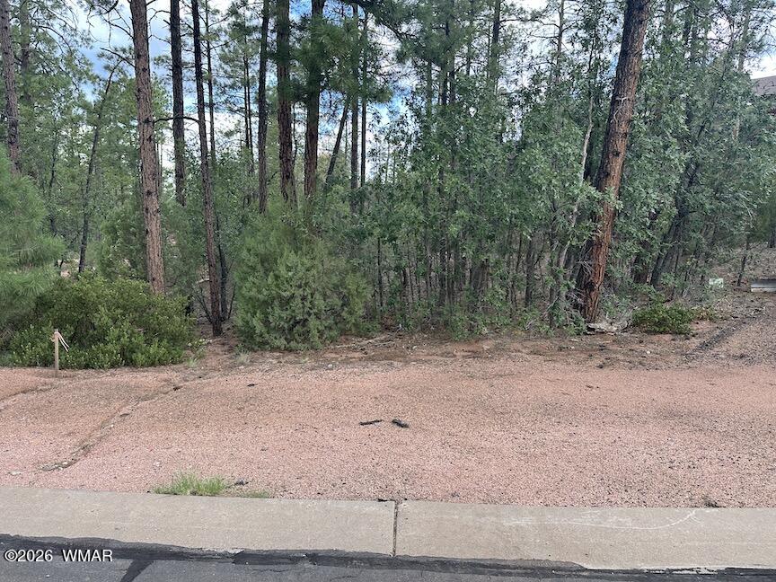 1680 W Snow Creek Loop, Show Low, AZ 85901 — Photo 1 of 11