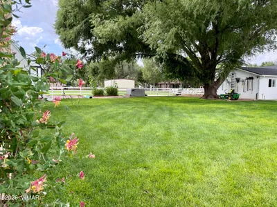 Thumbnail 23