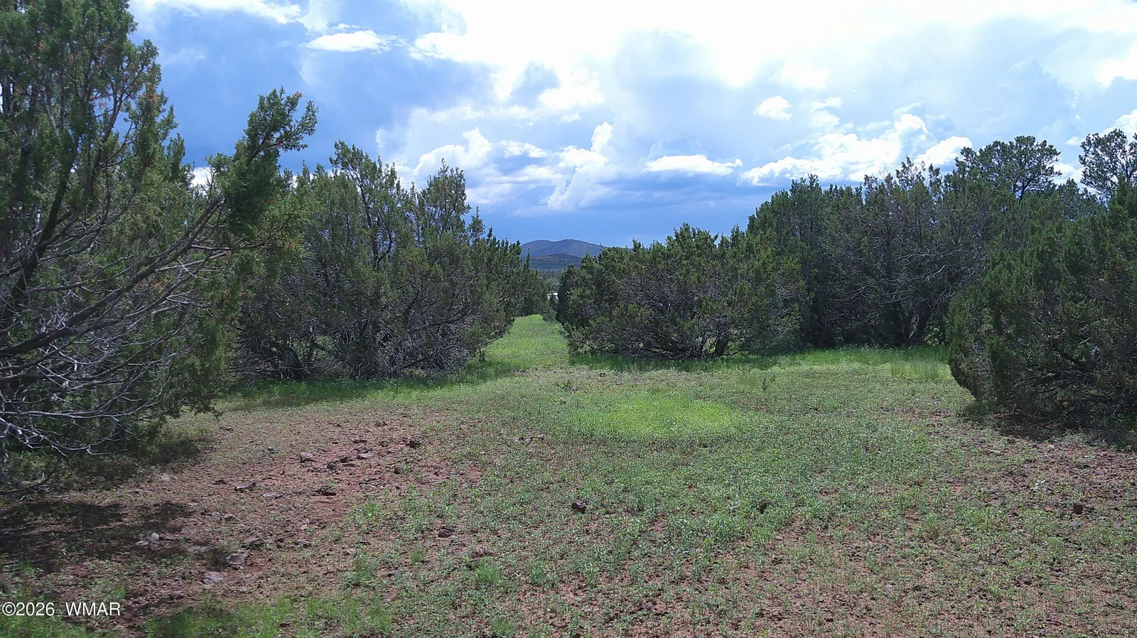 19 N3133, Vernon, AZ 85940 — Photo 1 of 26