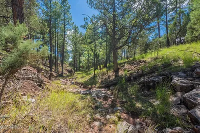Thumbnail 68