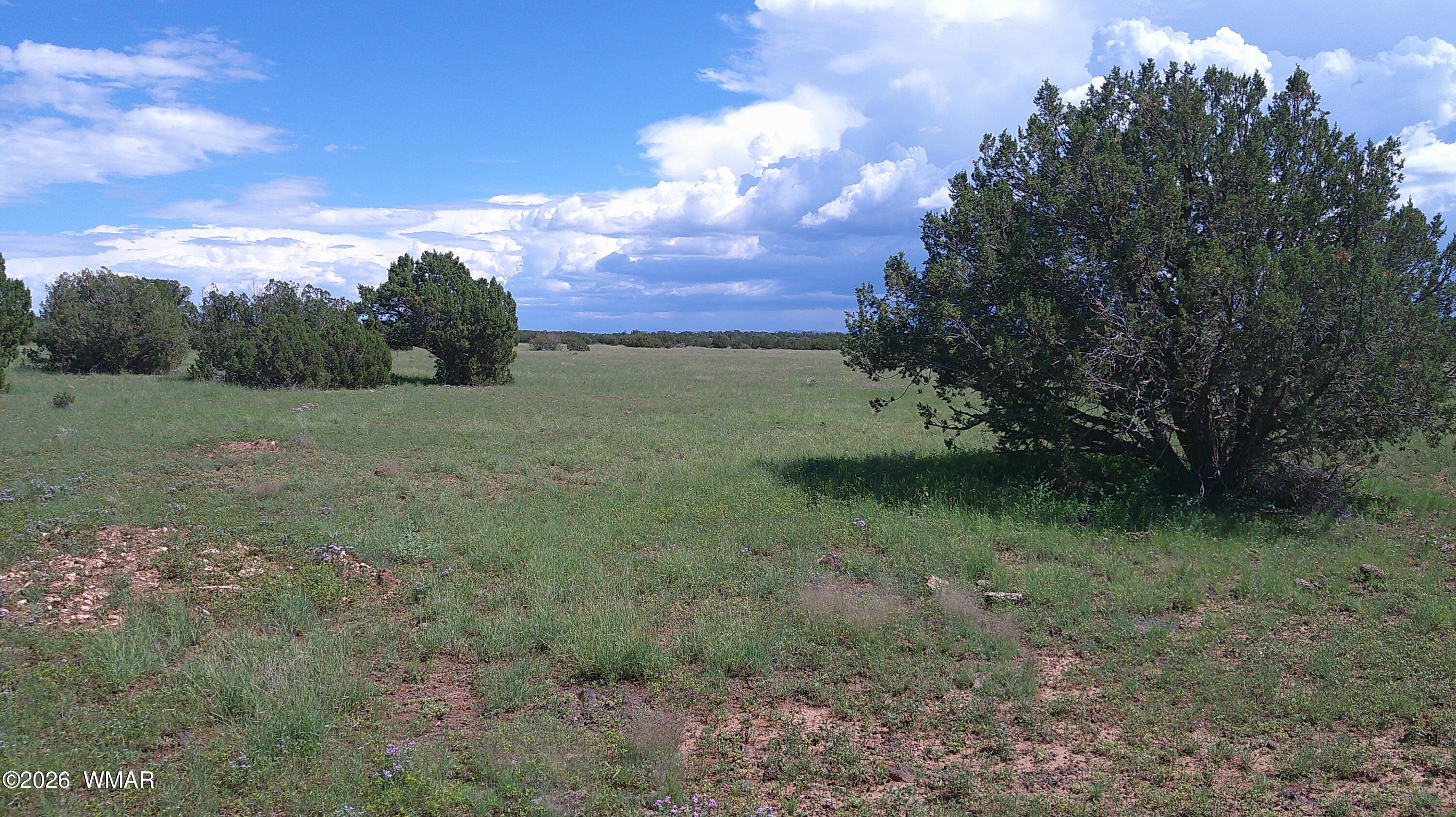 8583 Pine Lane, Show Low, AZ 85901 — Photo 1 of 30
