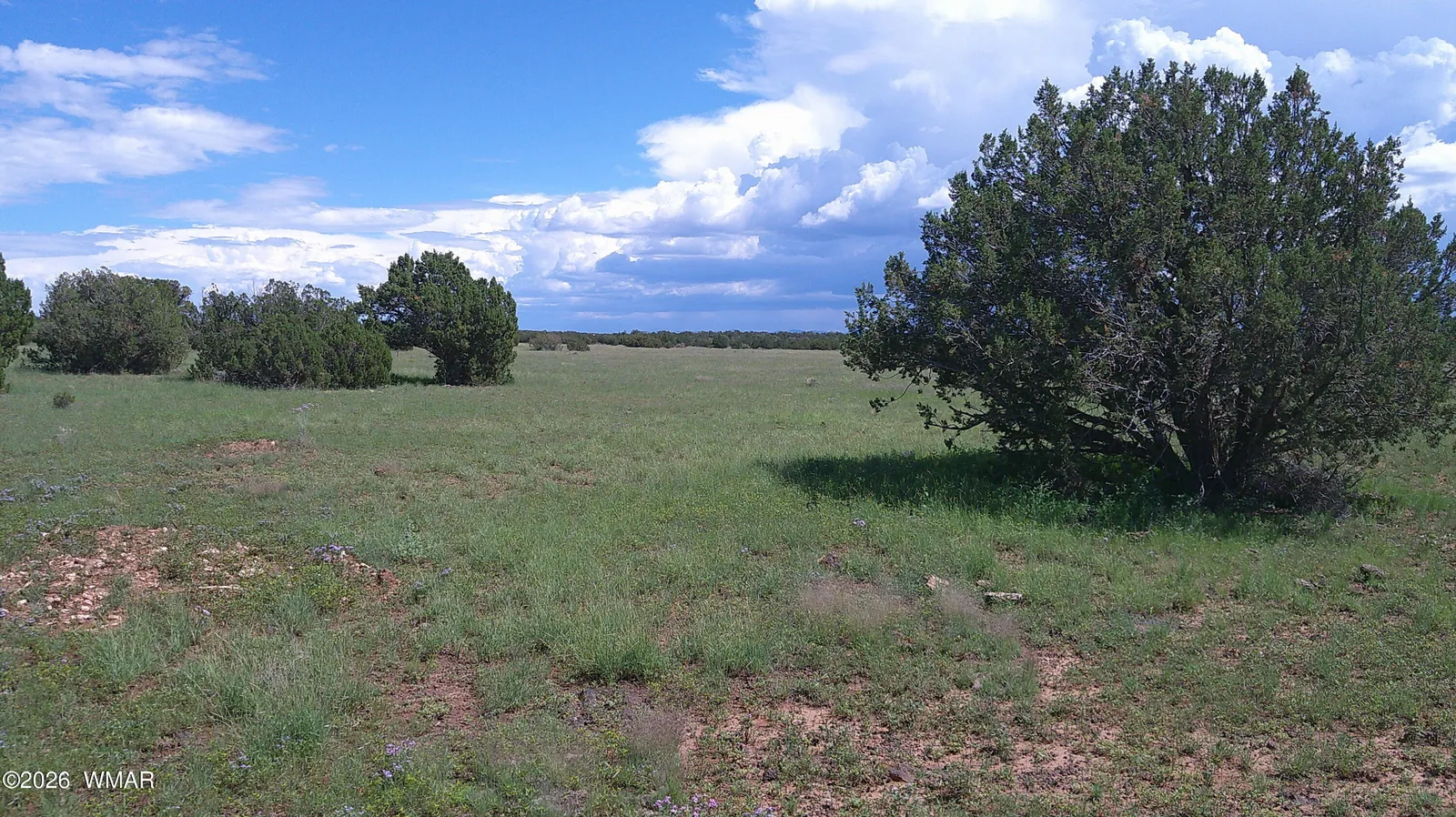 8583 Pine Lane, Show Low, AZ 85901 — Photo 1 of 30