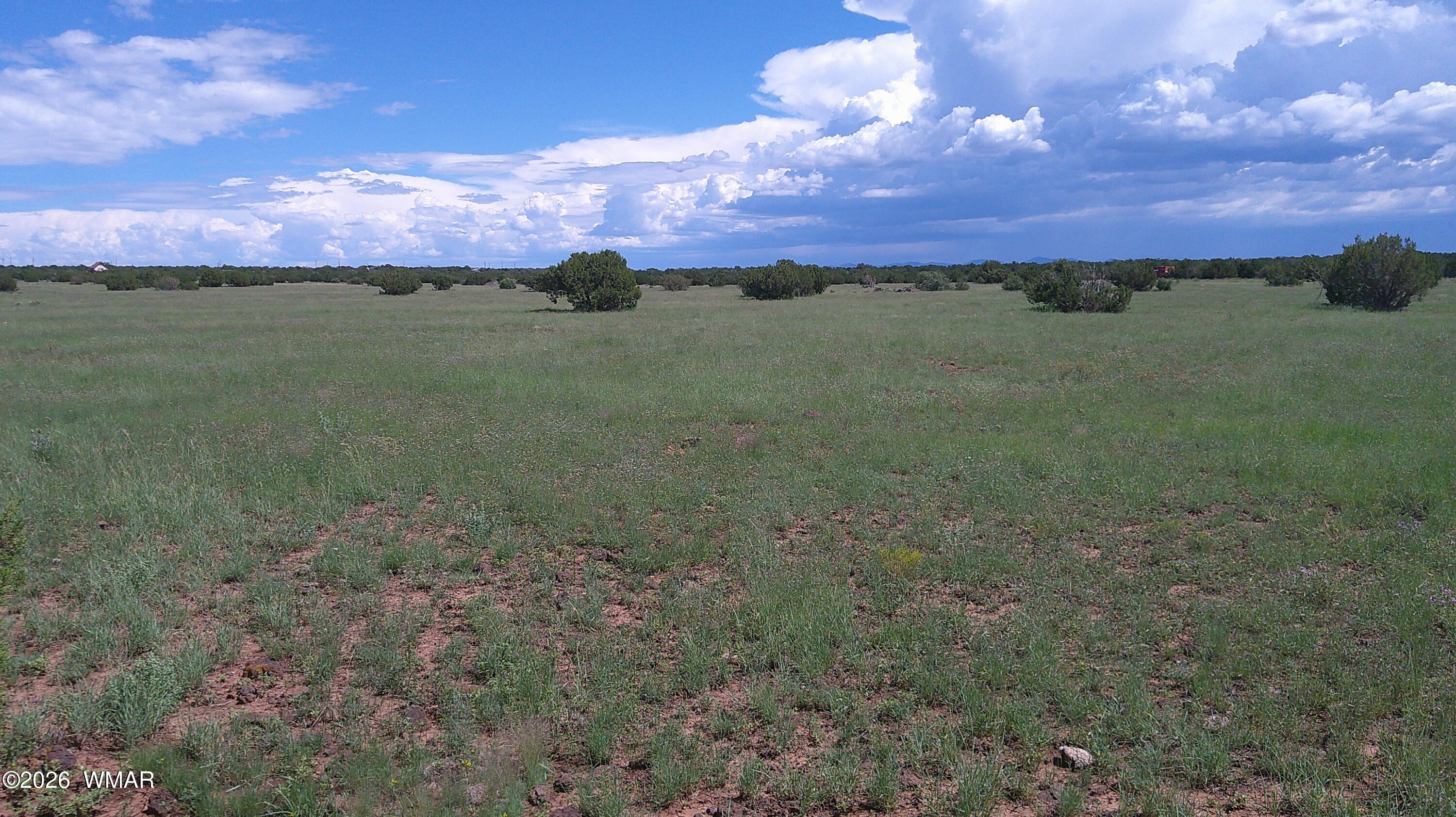 8577 Pine Lane, Snowflake, AZ 85937 — Photo 1 of 54
