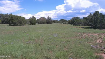 8571 Pine Lane, Snowflake, AZ 85937
