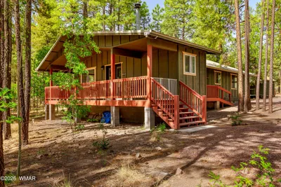 56 County Road 2266, Alpine, AZ 85920