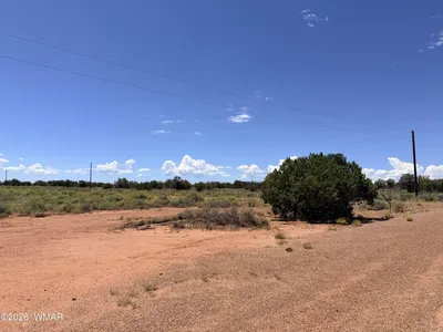 020P White Antelope Road, Snowflake, AZ 85937