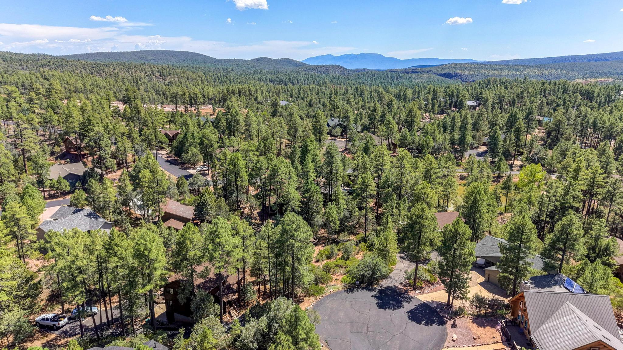Lot 19 N Elk Rub Lane, Pine, AZ 85544 — Photo 1 of 11